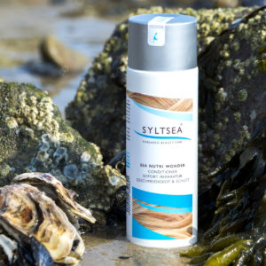 syltsea-img